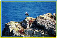 Bird sanctuary